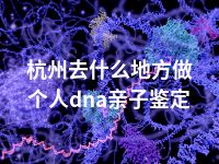 杭州去什么地方做个人dna亲子鉴定