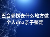 巴音郭楞去什么地方做个人dna亲子鉴定