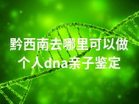 黔西南去哪里可以做个人dna亲子鉴定