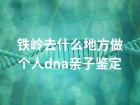 铁岭去什么地方做个人dna亲子鉴定