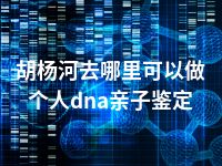 胡杨河去哪里可以做个人dna亲子鉴定