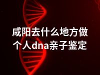 咸阳去什么地方做个人dna亲子鉴定