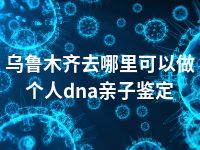 乌鲁木齐去哪里可以做个人dna亲子鉴定