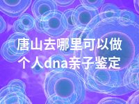 唐山去哪里可以做个人dna亲子鉴定