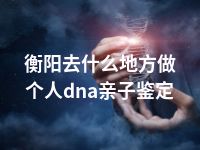 衡阳去什么地方做个人dna亲子鉴定