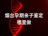 烟台孕期亲子鉴定哪里做