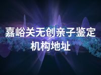 嘉峪关无创亲子鉴定机构地址