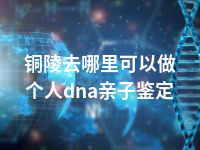 铜陵去哪里可以做个人dna亲子鉴定