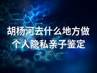 胡杨河去什么地方做个人隐私亲子鉴定