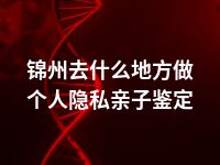 锦州去什么地方做个人隐私亲子鉴定