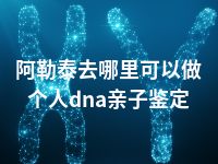 阿勒泰去哪里可以做个人dna亲子鉴定