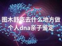 图木舒克去什么地方做个人dna亲子鉴定