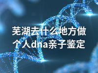 芜湖去什么地方做个人dna亲子鉴定