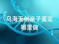 乌海无创亲子鉴定哪里做