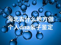 海北去什么地方做个人dna亲子鉴定