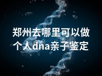 郑州去哪里可以做个人dna亲子鉴定