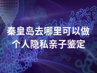 秦皇岛去哪里可以做个人隐私亲子鉴定