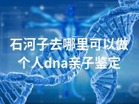 石河子去哪里可以做个人dna亲子鉴定