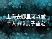 上海去哪里可以做个人dna亲子鉴定