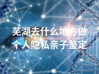 芜湖去什么地方做个人隐私亲子鉴定