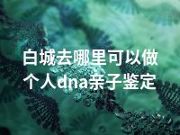 白城去哪里可以做个人dna亲子鉴定