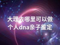 大理去哪里可以做个人dna亲子鉴定