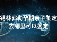 锡林郭勒孕期亲子鉴定去哪里可以鉴定