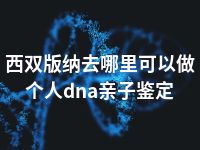 西双版纳去哪里可以做个人dna亲子鉴定