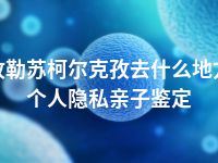 克孜勒苏柯尔克孜去什么地方做个人隐私亲子鉴定