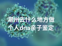 潮州去什么地方做个人dna亲子鉴定