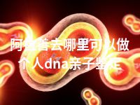 阿拉善去哪里可以做个人dna亲子鉴定