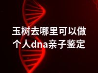 玉树去哪里可以做个人dna亲子鉴定