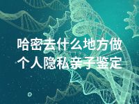 哈密去什么地方做个人隐私亲子鉴定