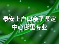 泰安上户口亲子鉴定中心哪里专业