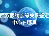 西双版纳亲缘关系鉴定中心在哪里