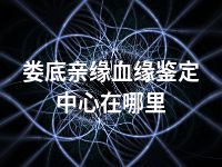 娄底亲缘血缘鉴定中心在哪里