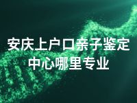 安庆上户口亲子鉴定中心哪里专业