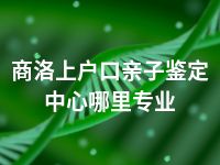 商洛上户口亲子鉴定中心哪里专业