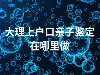 大理上户口亲子鉴定在哪里做