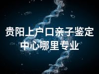 贵阳上户口亲子鉴定中心哪里专业