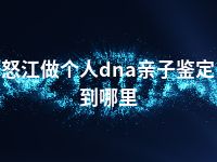 怒江做个人dna亲子鉴定到哪里