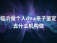 临沂做个人dna亲子鉴定去什么机构做