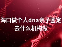 海口做个人dna亲子鉴定去什么机构做