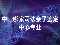 中山哪家司法亲子鉴定中心专业