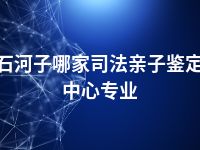 石河子哪家司法亲子鉴定中心专业