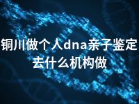 铜川做个人dna亲子鉴定去什么机构做