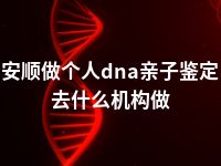 安顺做个人dna亲子鉴定去什么机构做