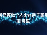 阿克苏做个人dna亲子鉴定到哪里