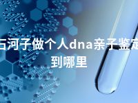 石河子做个人dna亲子鉴定到哪里