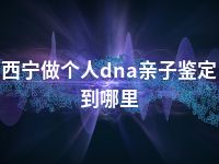 西宁做个人dna亲子鉴定到哪里